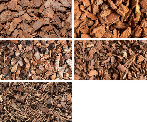 Pine substrate selection - pine,
