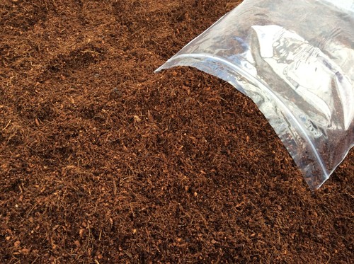 Coco fibre coir reptile frog - coir,