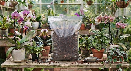 Orchid and reptile - and, bark