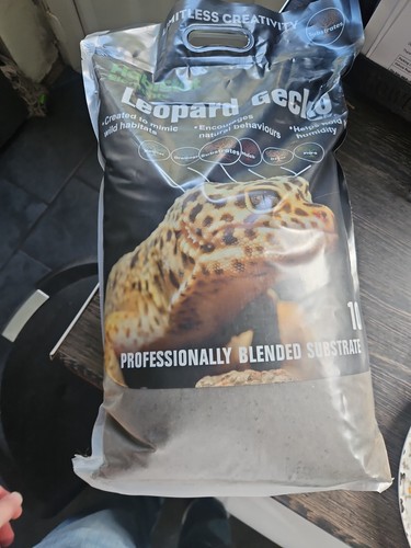 Leopard gecko professionally - leopard,