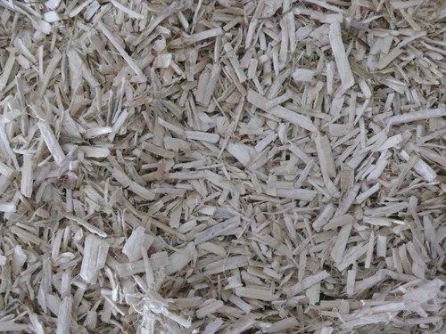 Hemp bedding tortoise reptile - tortoise,