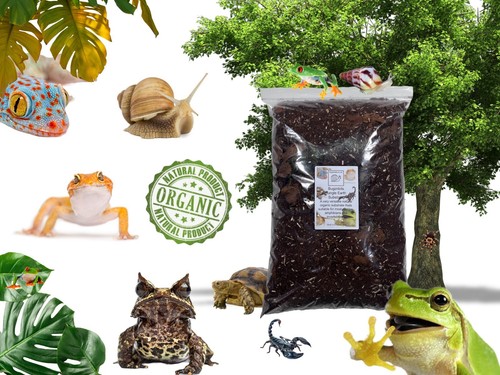 Bugznbits jungle earth - bugznbits,