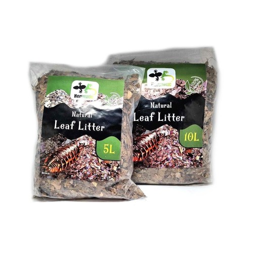 Organic leaf litter - leaf,