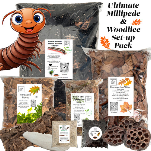 Ultimate millipede woodlice - ultimate,