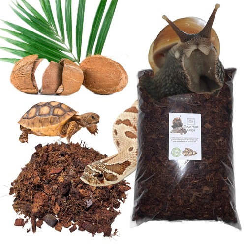Bugznbits tropical vivarium - tropical,