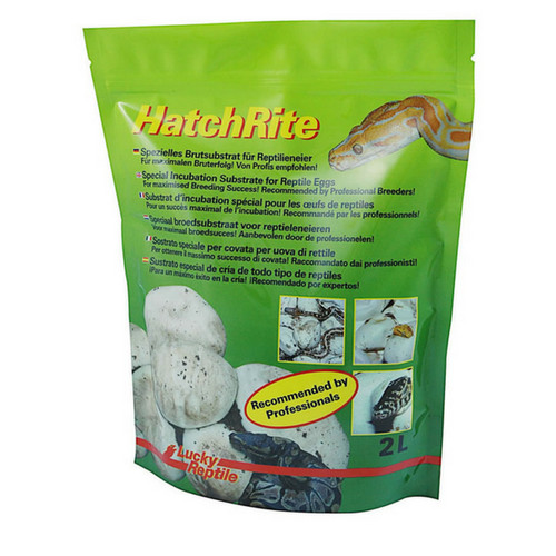 Lucky reptile hatchrite - reptile,