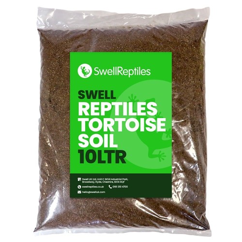 Swell reptile tortoise - reptile, soil