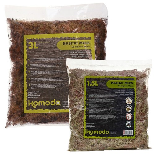 Komodo habitat sphagnum moss - komodo,