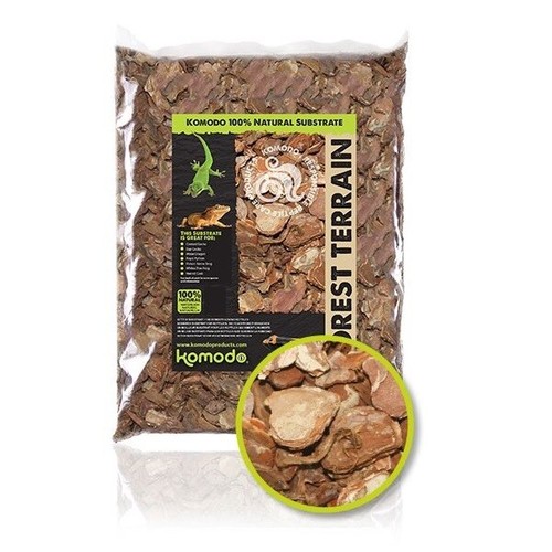 Komodo forest terrain reptile - terrain,